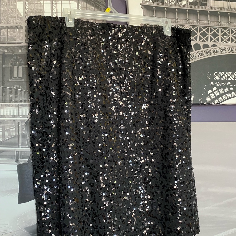 Sequin Skirt
